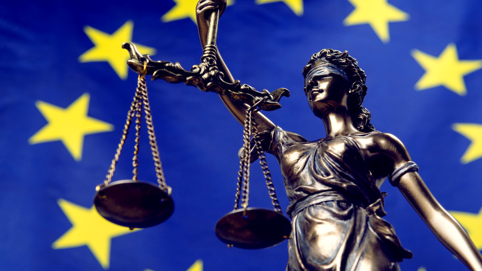 DETR (Reglamento de Deforestación de la UE): Para muchas cadenas de suministro, fin de año será decisivo